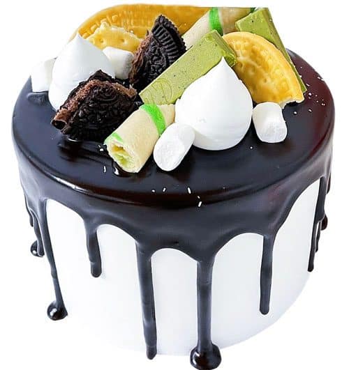 special cake 33 500x531