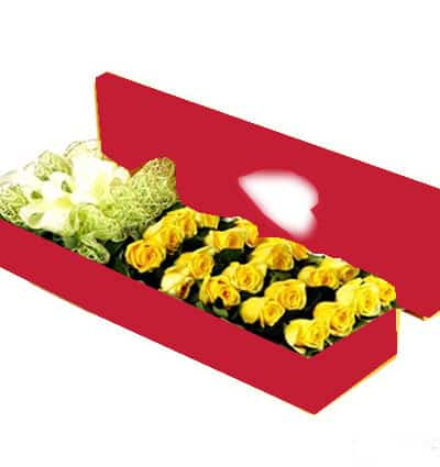 special flower box 03