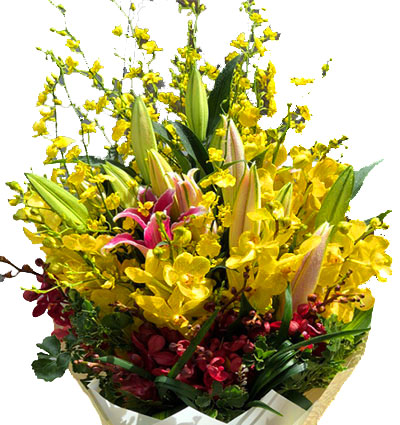 special-mixed-orchid