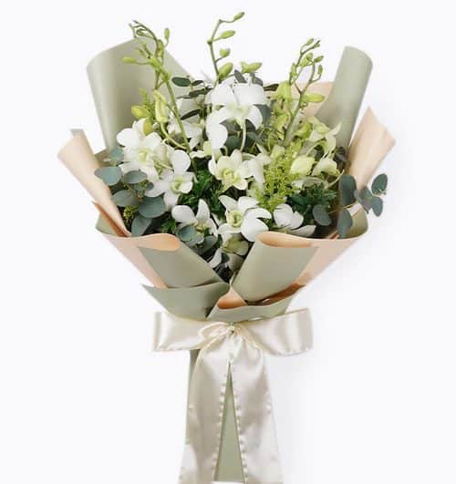 white orchid 02 500x531
