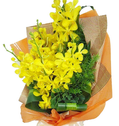 yellow-orchid-02