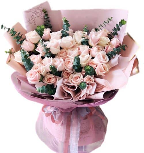 pink dream 500x531