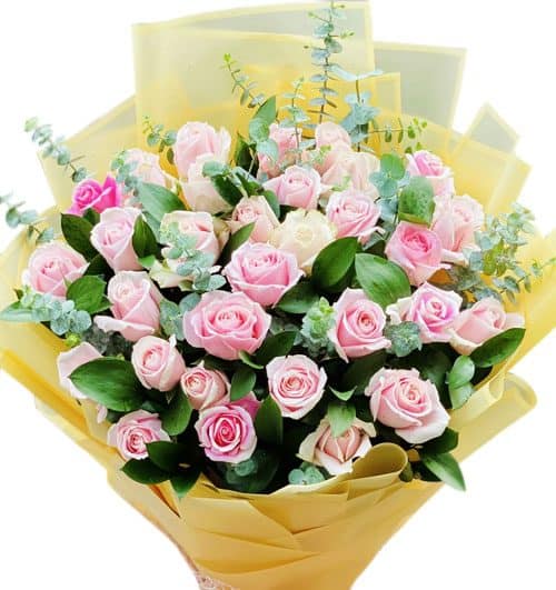pure love 500x531