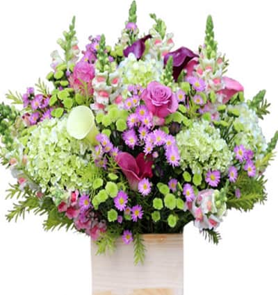 Sympathy Basket Vietnam 07