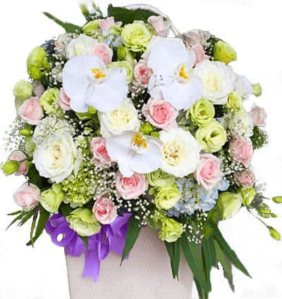 Sympathy-Basket-09
