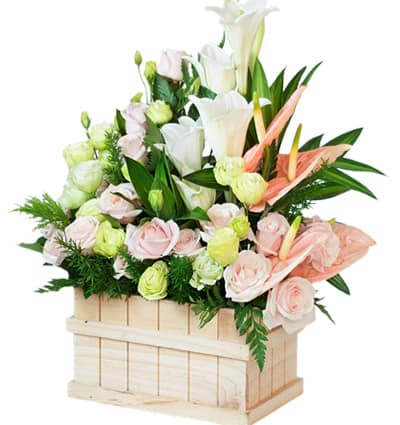 Sympathy Basket Vietnam 10