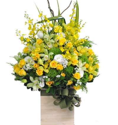 Sympathy Basket Vietnam 12