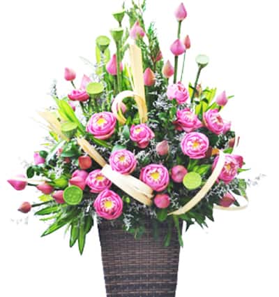 Sympathy Basket Vietnam 14