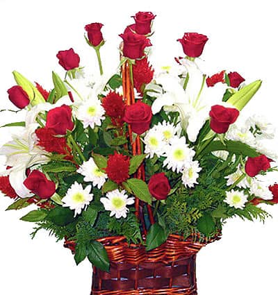 Sympathy-Basket-16
