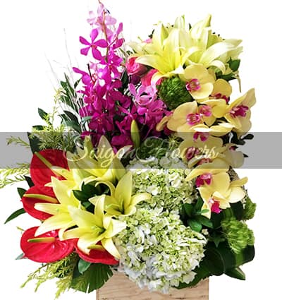 Sympathy Basket Vietnam 17