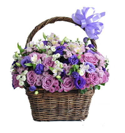 Sympathy Basket Vietnam 18
