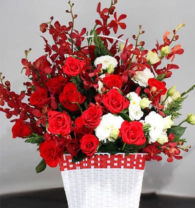 Christmas Flowers 32