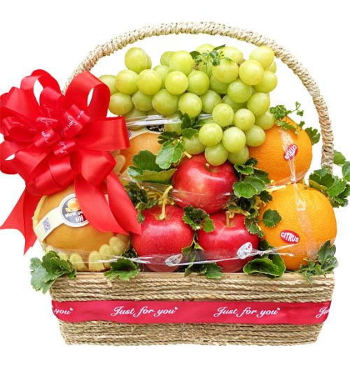 christmas fruits 04