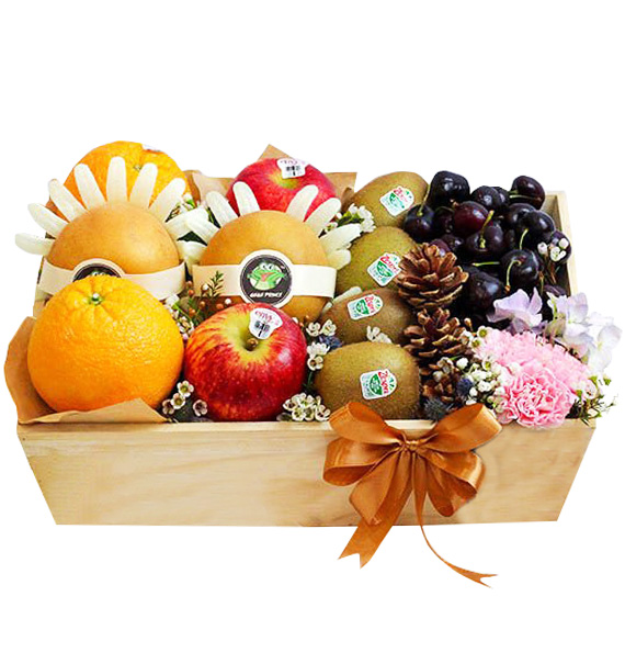 christmas fruits 05