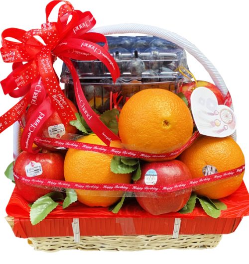 christmas fruits 06