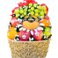 christmas fruits 07