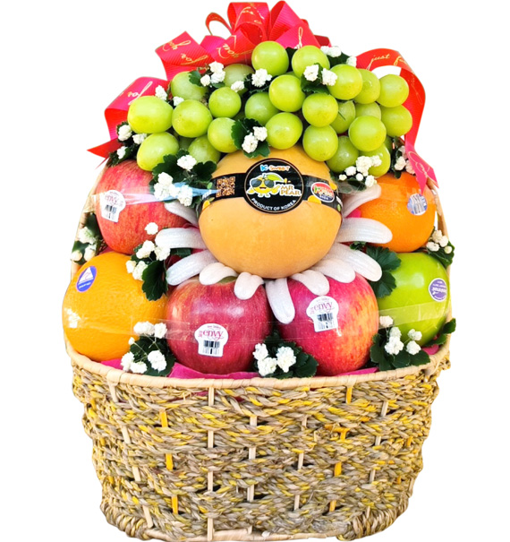 christmas fruits 07