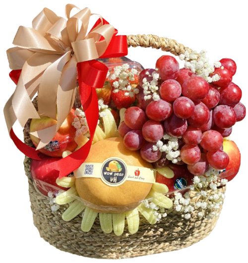 christmas fruits 10