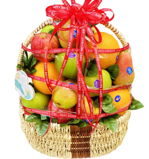christmas fruits 15