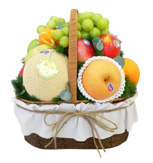 christmas fruits 17