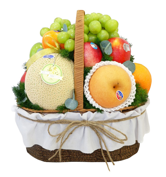 christmas fruits 17