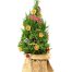 fresh christmas tree vietnam 09