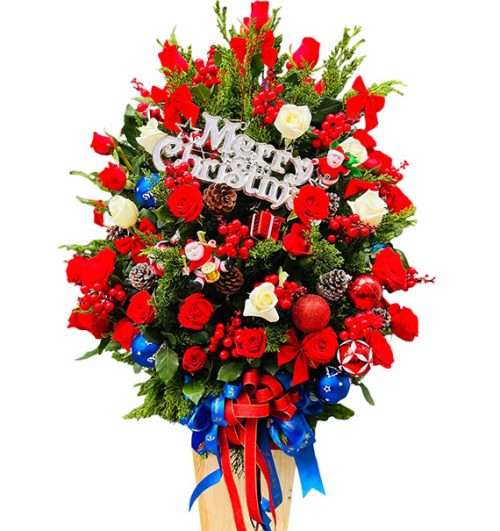 special christmas flowers vietnam 09