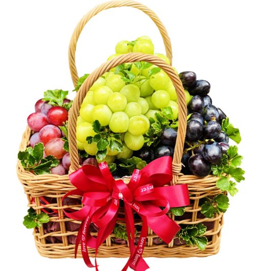 special christmas fruits 01