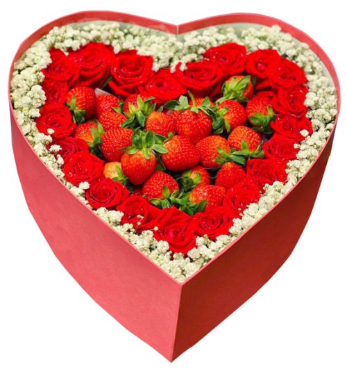 special christmas fruits 03
