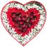 special christmas fruits 05