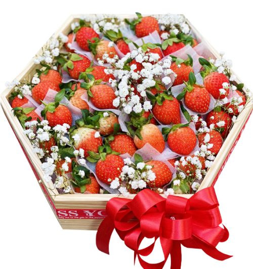 special christmas fruits 10