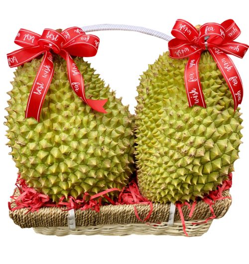 special christmas fruits 12