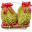 special christmas fruits 12