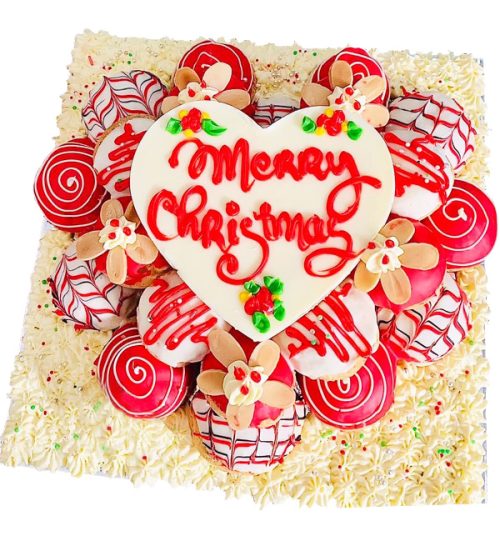 xmas cake 05