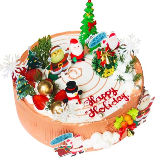 xmas cake 15