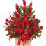 tet flowers 26a