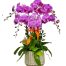 womens day orchids potted vietnam 17a