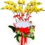 womens day potted orchids vietnam 13a