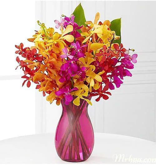 Flowers In Vietnam