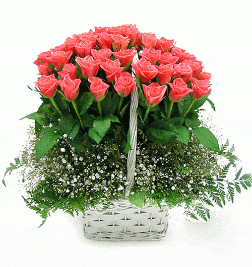 Flowers Vietnam