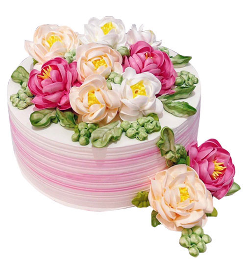 vietnamese cakes