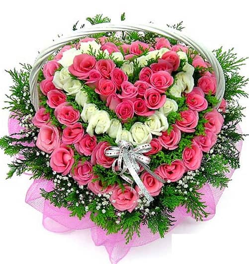 Vietnamese Flowers