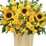flowers fathers day 011 500x531