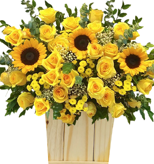 flowers fathers day 011 500x531
