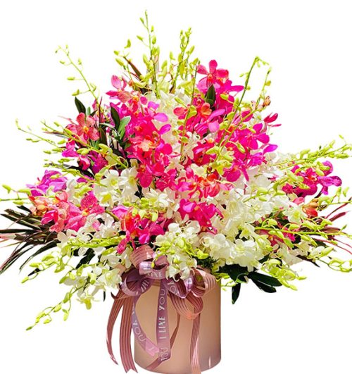 orchids for mom 12