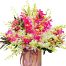 orchids for mom 12