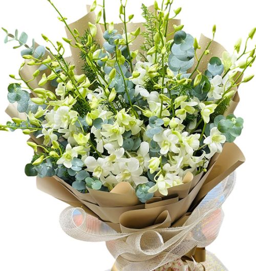 orchids for mom 14