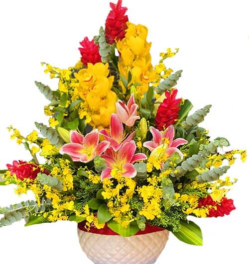 special flowers fathers day 004 500x531