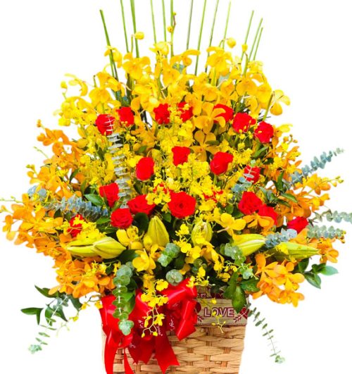 special mothers day orchids 08