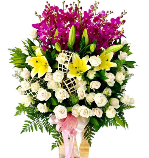 special mothers day orchids 09